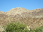 walk along Cat Creek4 toward Cahuilla Hills 11-7-15 - Copy.JPG